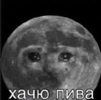 16413095529800.jpg