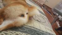 IMG0244.jpeg