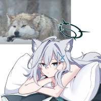 .jpg