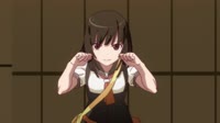 NadekoMeow.webm