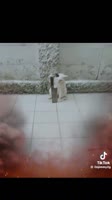 v12044gd0000cvgoe6fog65l37ljuvlg.mp4
