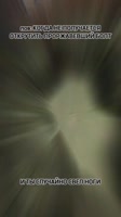 video2025-04-0806-10-41.mp4