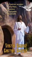 16160882529630.mp4