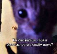 √⅓