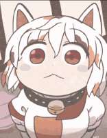 17298448426280.gif
