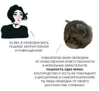котанские-цитаты-мудрость-картинка-с-текстом-8896687.jpeg