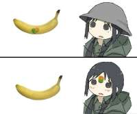 17459187485980.jpg