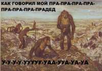 1667857451214.jpg