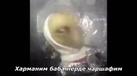 17370463686110.mp4
