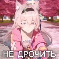 IMG0705.MP4