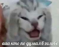 KWvrnkeM1Do.jpg