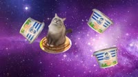 сметанковый кот.webm
