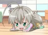 1747527120035246.gif