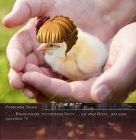 17470746412660.png