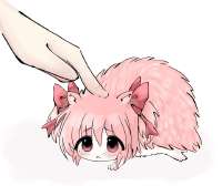 .jpg