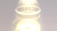 17383435005560.mp4