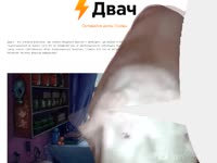 17500702666890.webm