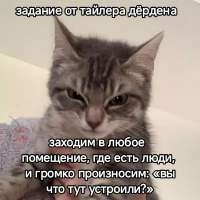 17467223161140.jpg