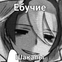 17319178240090.jpg