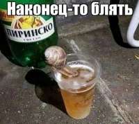 17515502505342.jpg