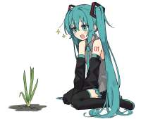 17370273020200.png