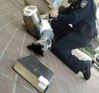 deus-vult-приколы-для-даунов-смешные-картинки-7015184.jpeg