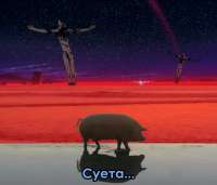 17393868200322.jpg