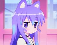 17287767751670.gif