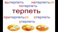 IMG2880.jpeg