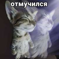 IMG2881.jpeg