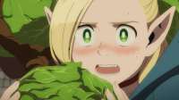 Dungeon Meshi - 04 [BDRip 1080p AVC FLAC].mkvsnapshot12.40[2025-07-1222.36.01].jpg