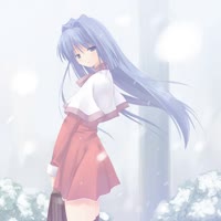 17356495094922.webm