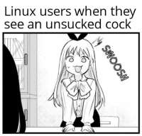 17253335746580.jpg
