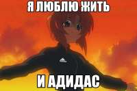17220356668130.png