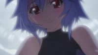 17463218263650.webm