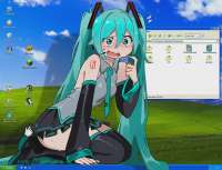 17462462616820.webp
