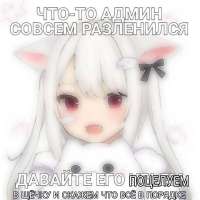 1755351295178.jpg