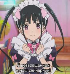 61e9e87b623c7e60ce1ef3bc8305b814.webp