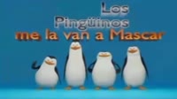 tumblrs3ry873Z0h1a7u9bp.mp4