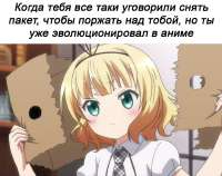 под пакетом прячу я ружьё.jpg