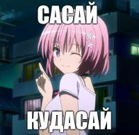 animesasai.jpg