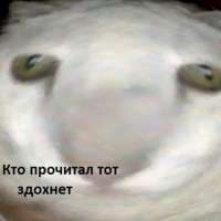 500x500