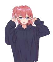 samplee3fea90d2fcbd7d2e46dc082ba4e4c64.jpg