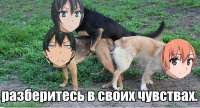 P8mFER0RD5444I.jpg