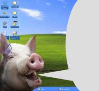 PIGidna1.png