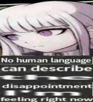 1464608408507.jpeg