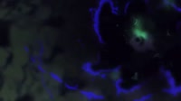15938949168240.webm
