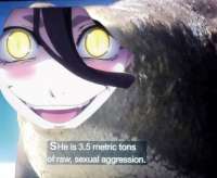 0315784D-8A96-4113-A3BB-60BC3BC20E0B.jpeg
