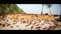 ТРЕД УМЕР НАХУЙ.webm