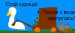 1495594207785.png